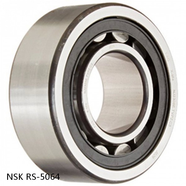 RS-5064 NSK CYLINDRICAL ROLLER BEARING