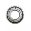 0.375 Inch | 9.525 Millimeter x 0.75 Inch | 19.05 Millimeter x 1.25 Inch | 31.75 Millimeter  CONSOLIDATED BEARING 93020  Cylindrical Roller Bearings #2 small image