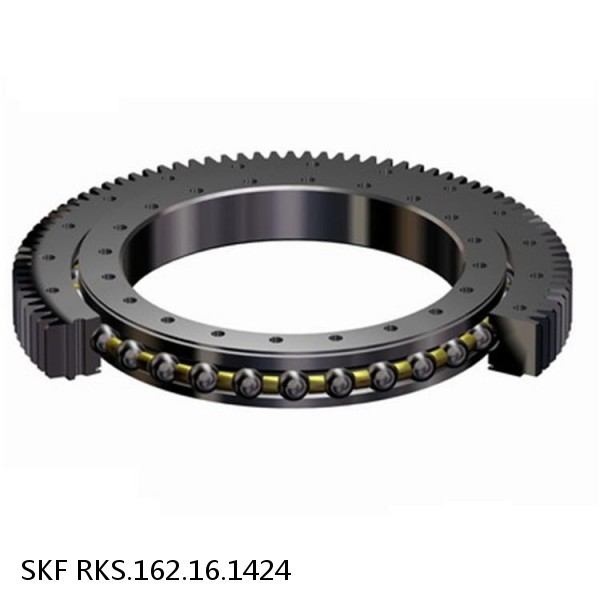 RKS.162.16.1424 SKF Slewing Ring Bearings #1 small image