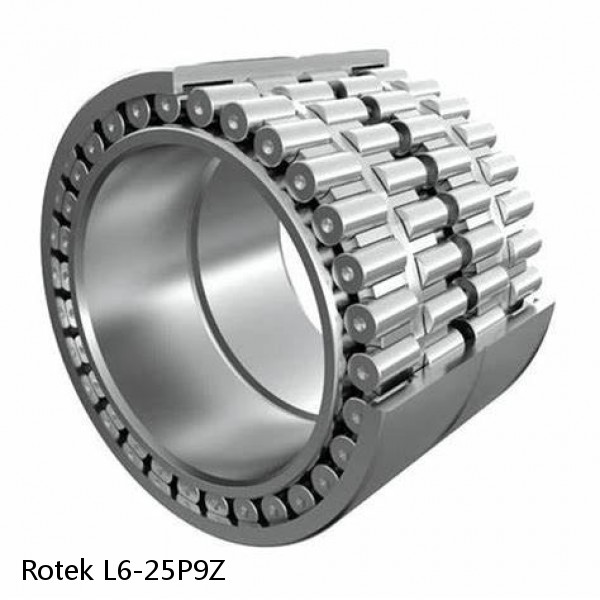 L6-25P9Z Rotek Slewing Ring Bearings #1 small image