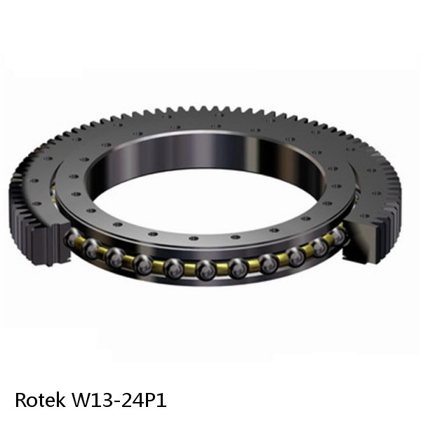 W13-24P1 Rotek Slewing Ring Bearings #1 small image