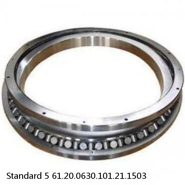 61.20.0630.101.21.1503 Standard 5 Slewing Ring Bearings #1 small image