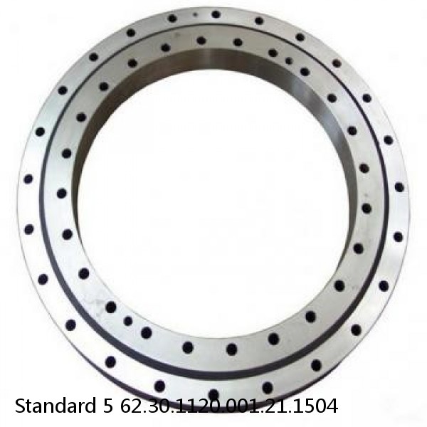 62.30.1120.001.21.1504 Standard 5 Slewing Ring Bearings #1 small image