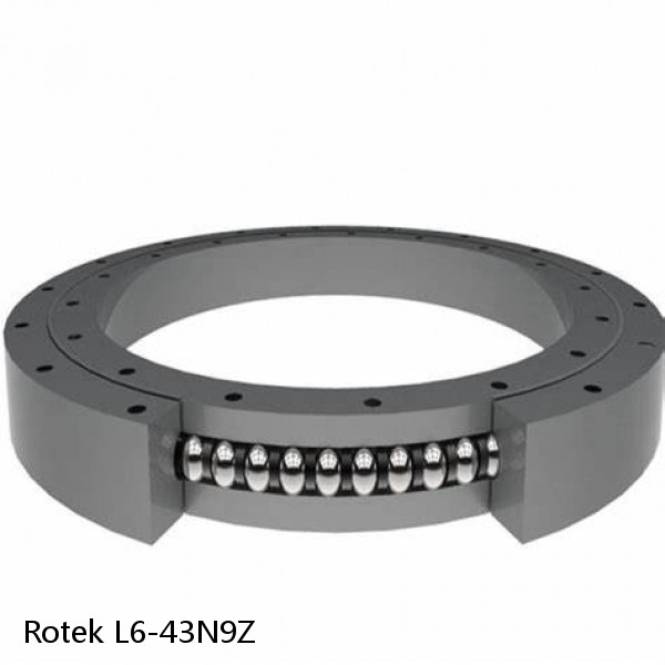 L6-43N9Z Rotek Slewing Ring Bearings #1 small image