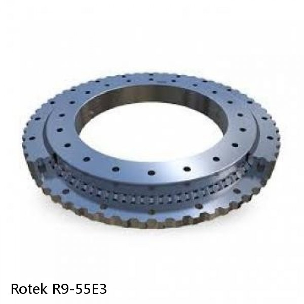R9-55E3 Rotek Slewing Ring Bearings #1 small image