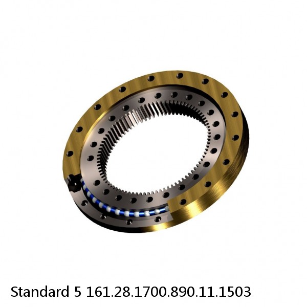 161.28.1700.890.11.1503 Standard 5 Slewing Ring Bearings #1 small image