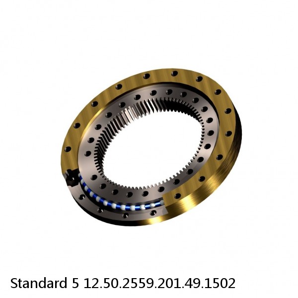 12.50.2559.201.49.1502 Standard 5 Slewing Ring Bearings #1 small image