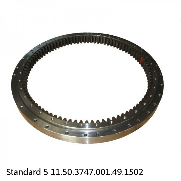 11.50.3747.001.49.1502 Standard 5 Slewing Ring Bearings #1 small image
