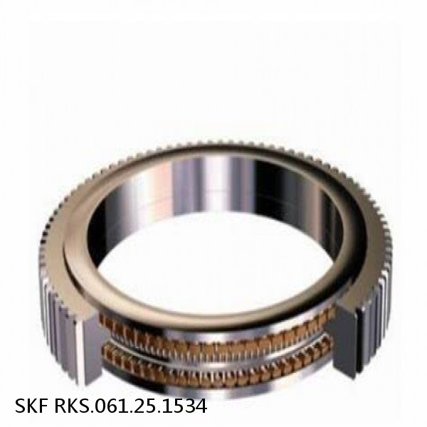 RKS.061.25.1534 SKF Slewing Ring Bearings #1 image