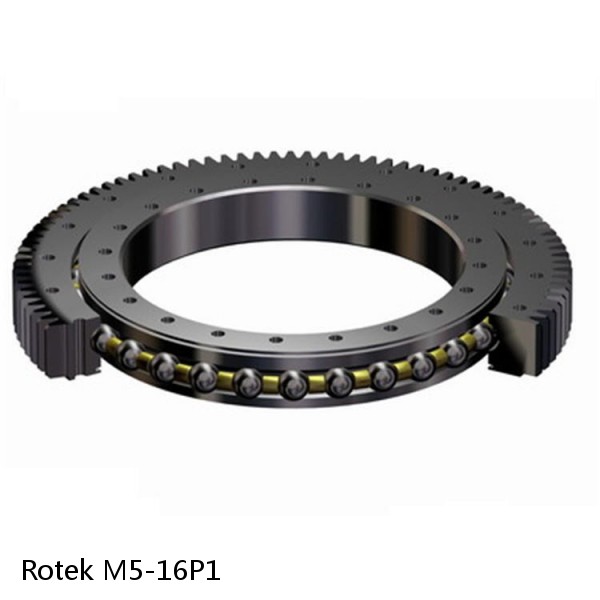 M5-16P1 Rotek Slewing Ring Bearings #1 image