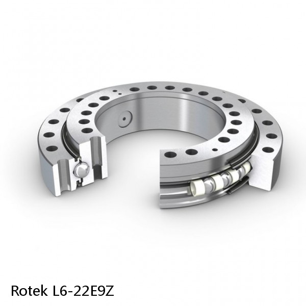 L6-22E9Z Rotek Slewing Ring Bearings #1 image