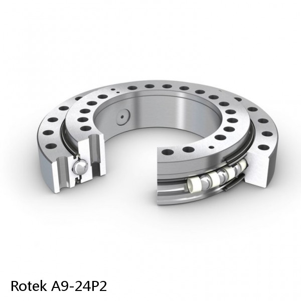 A9-24P2 Rotek Slewing Ring Bearings #1 image