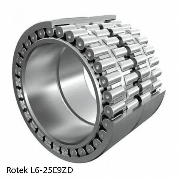 L6-25E9ZD Rotek Slewing Ring Bearings #1 image