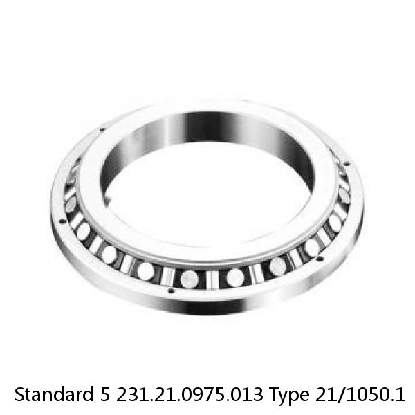 231.21.0975.013 Type 21/1050.1 Standard 5 Slewing Ring Bearings #1 image