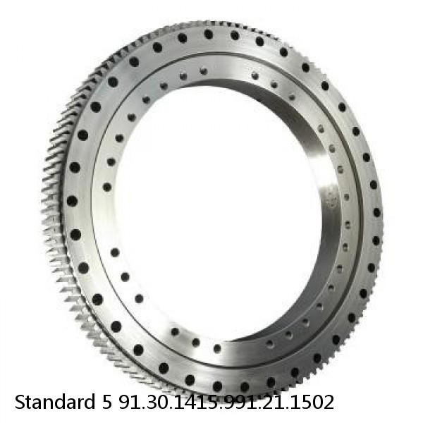 91.30.1415.991.21.1502 Standard 5 Slewing Ring Bearings #1 image