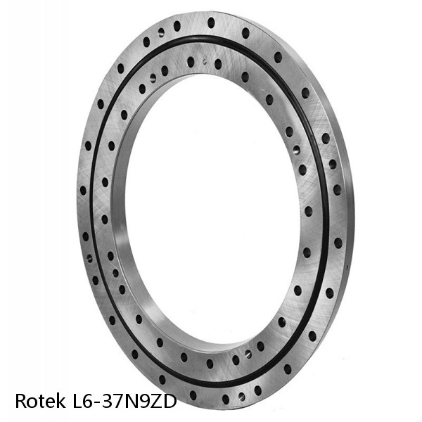 L6-37N9ZD Rotek Slewing Ring Bearings #1 image