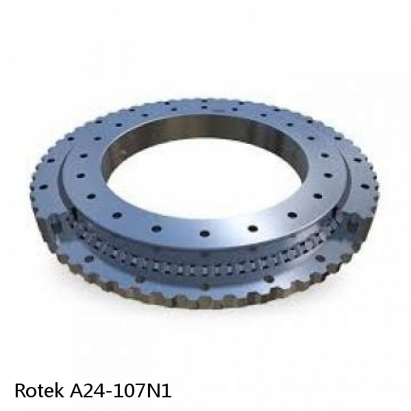 A24-107N1 Rotek Slewing Ring Bearings #1 image