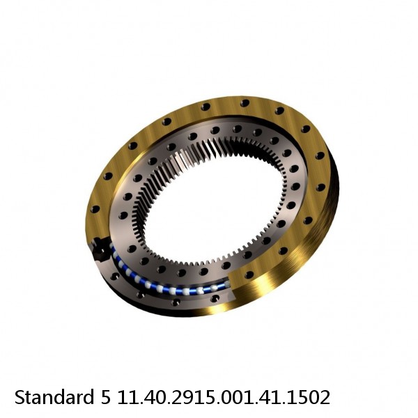 11.40.2915.001.41.1502 Standard 5 Slewing Ring Bearings #1 image