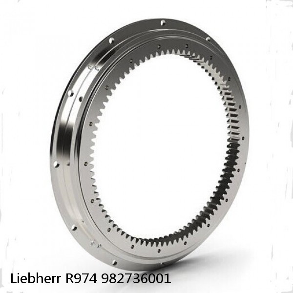 982736001 Liebherr R974 Slewing Ring #1 image