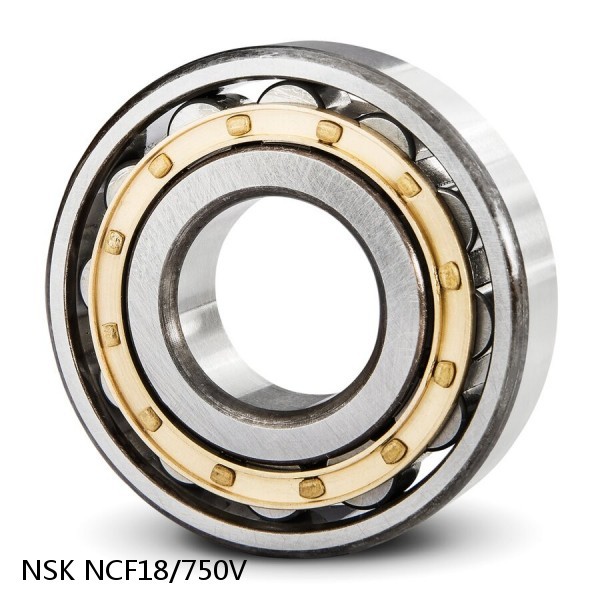 NCF18/750V NSK CYLINDRICAL ROLLER BEARING #1 image
