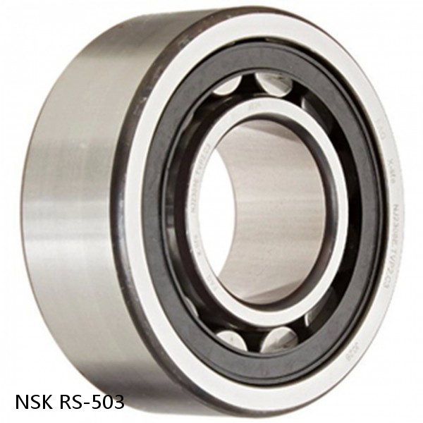 RS-503 NSK CYLINDRICAL ROLLER BEARING #1 image
