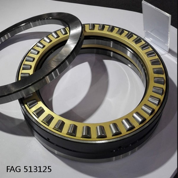FAG 513125 DOUBLE ROW TAPERED THRUST ROLLER BEARINGS #1 image